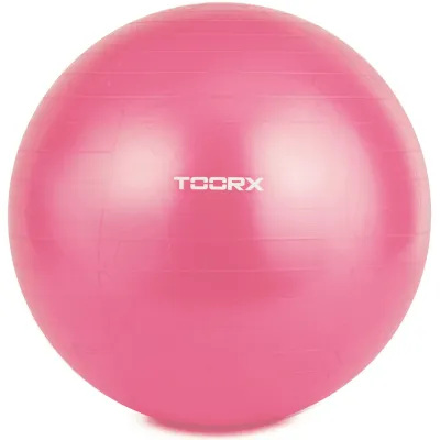 Мяч для фитнеса Toorx Gym Ball Fuchsia 55 cm (AHF-069) - Robinzon.ua