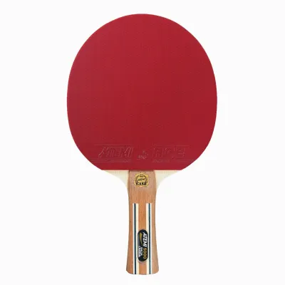 Ракетка для настольного тенниса ATEMI 5000 анатомическая Balsa-Carbon (4740152100604) - Robinzon.ua